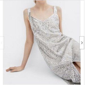 Zara Silver Sequin Dress
